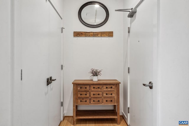 820 E High St Unit 1, Charlottesville, VA 22902 - hallway with light wood finished floors