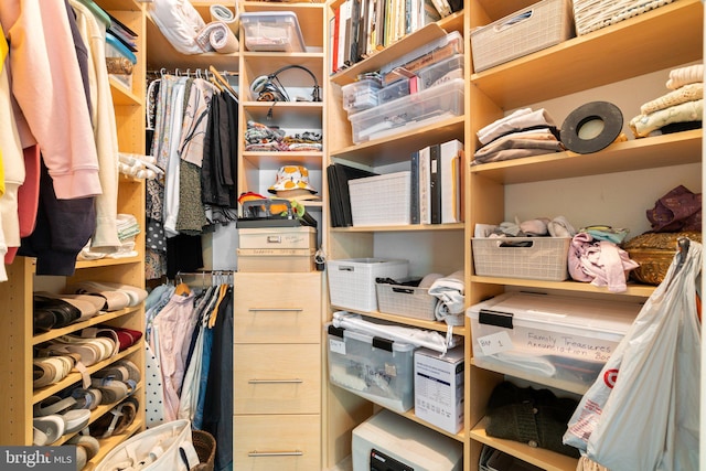 view of walk in closet