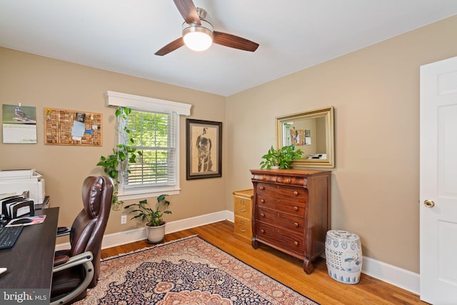 1217 Stafford Ave, Fredericksburg, VA 22401 - office with baseboards, ceiling fan, and wood finished floors