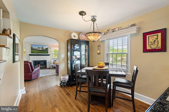 1217 Stafford Ave, Fredericksburg, VA 22401 - dining room featuring arched walkways, a fireplace, wood finished floors, and a wealth of natural light