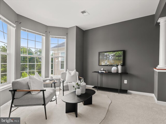 601 Quicksilver Ct Unit 401, Reisterstown, MD 21136 - living area with decorative columns, baseboards, and carpet floors