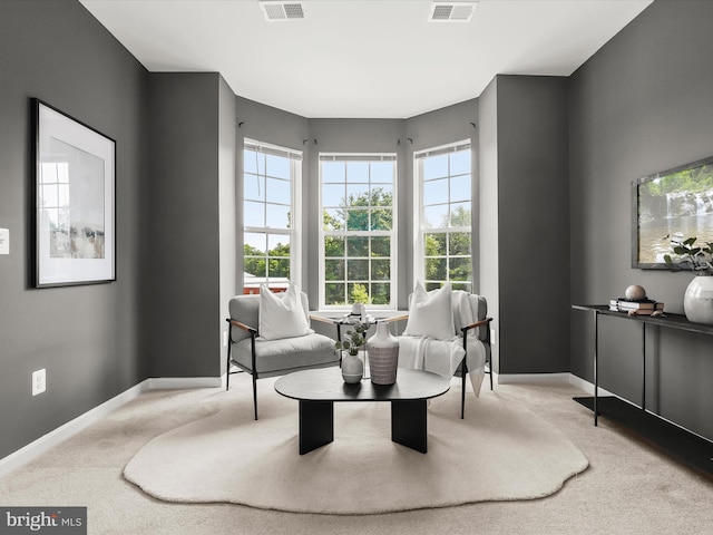 601 Quicksilver Ct Unit 401, Reisterstown, MD 21136 - living area with carpet flooring and baseboards