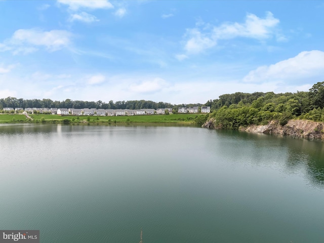 601 Quicksilver Ct Unit 401, Reisterstown, MD 21136 - water view
