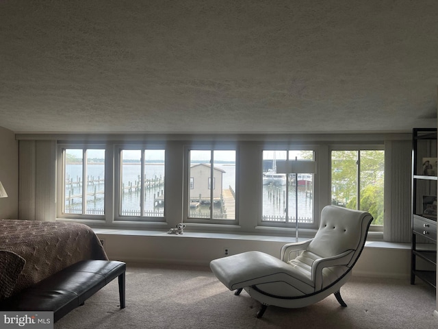 3689 1st Ave, Edgewater, MD 21037 - carpeted bedroom featuring a textured ceiling