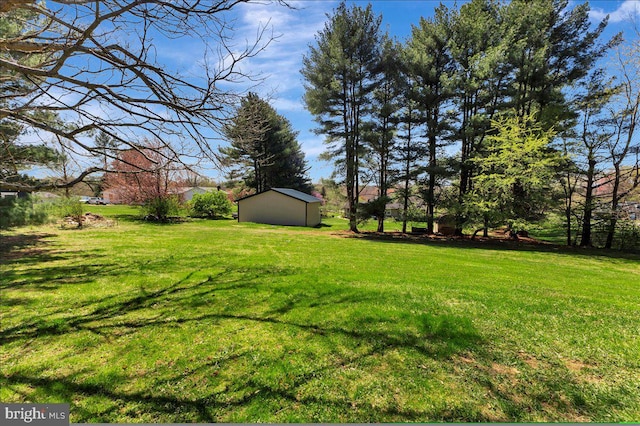 view of yard featuring an outdoor structure