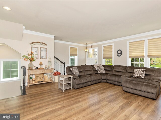 living area with plenty of natural light, light wood-style floors, and ornamental molding