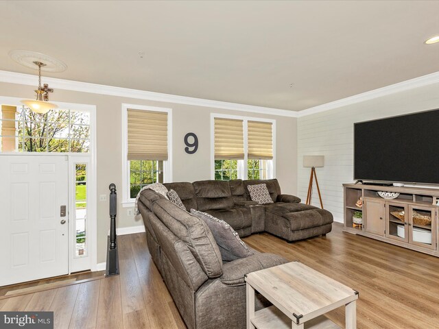 living room featuring baseboards, wood finished floors, and crown molding