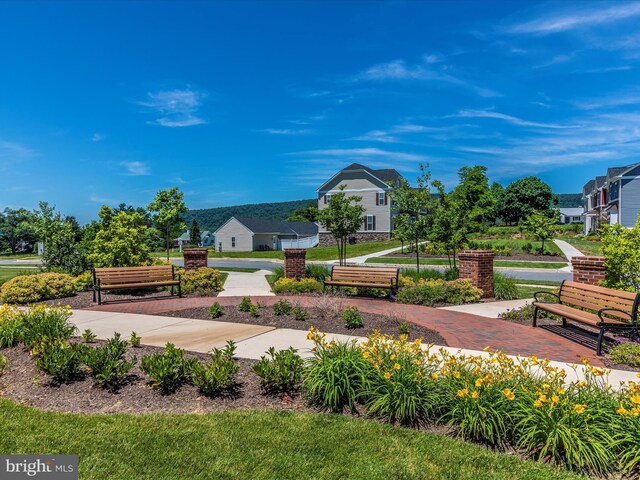 view of community featuring a lawn and a residential view