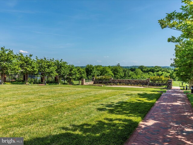 view of community featuring a yard