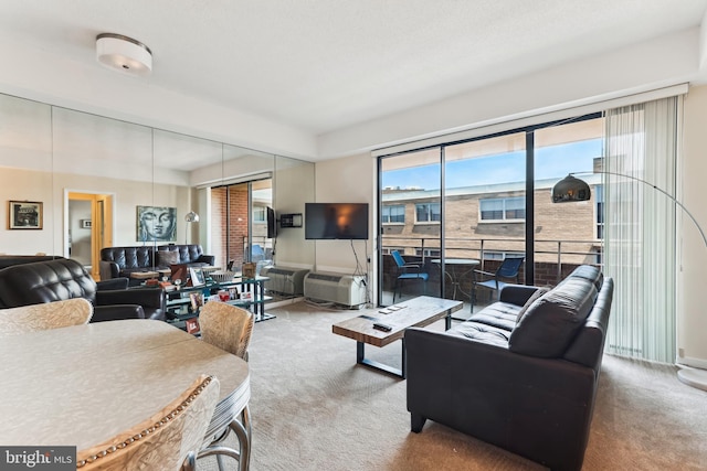 2141 P St NW Unit 1010, Washington, DC 20037 - view of carpeted living room