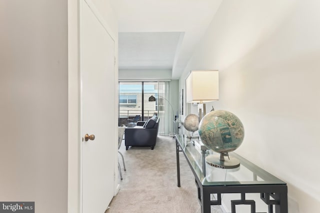 2141 P St NW Unit 1010, Washington, DC 20037 - corridor featuring light colored carpet