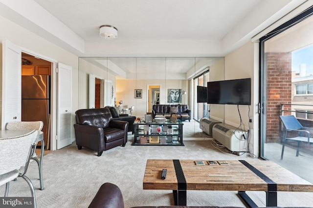 2141 P St NW Unit 1010, Washington, DC 20037 - living room with light carpet