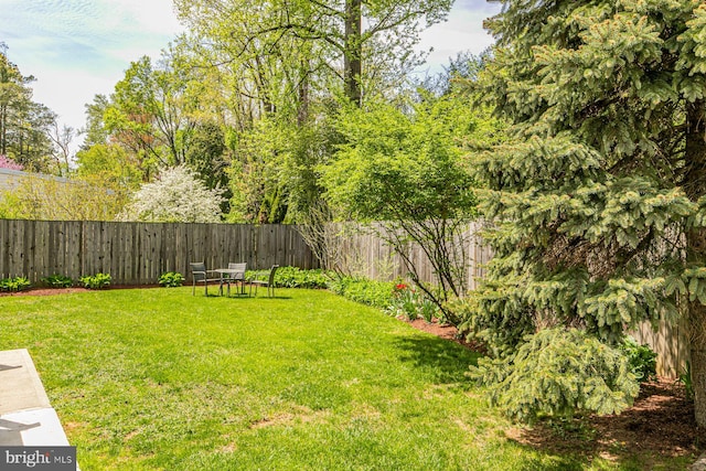view of yard with a fenced backyard
