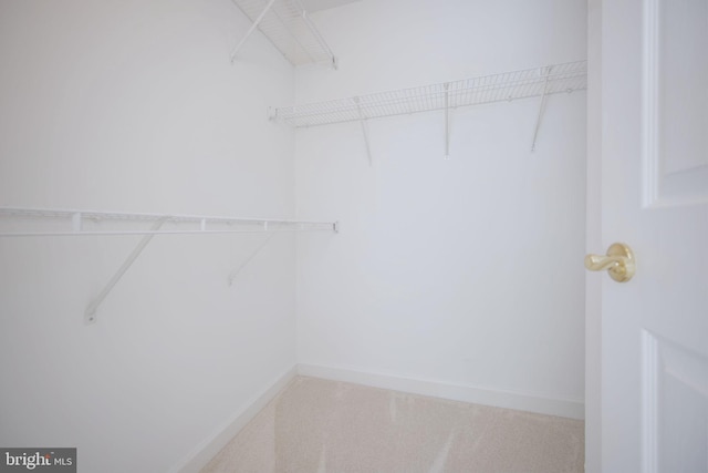 15648 Avocet Loop, Woodbridge, VA 22191 - walk in closet featuring carpet flooring