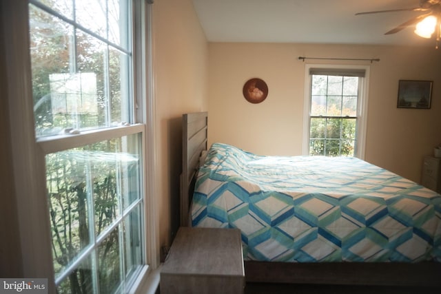 bedroom with ceiling fan