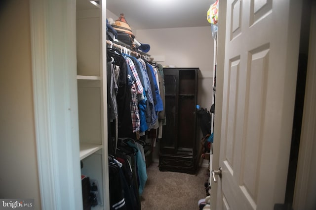 walk in closet featuring carpet floors