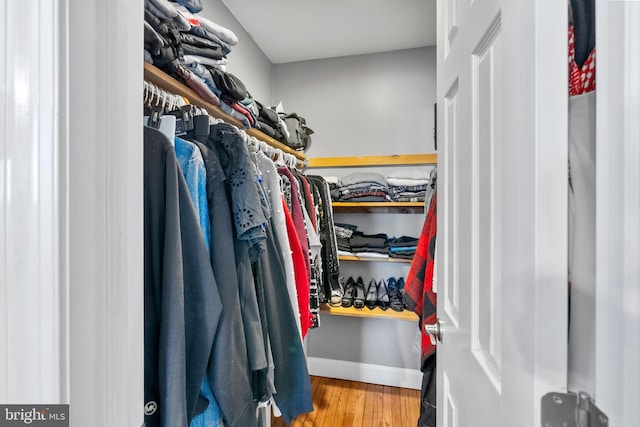 spacious closet featuring wood finished floors