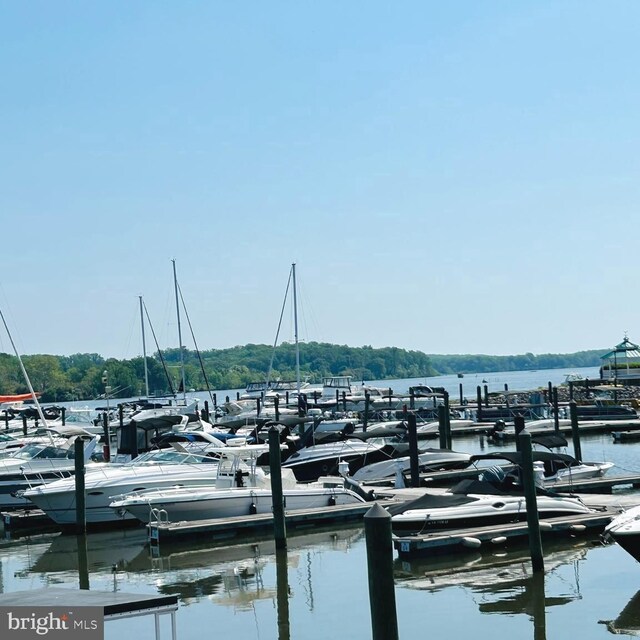 view of dock with a water view