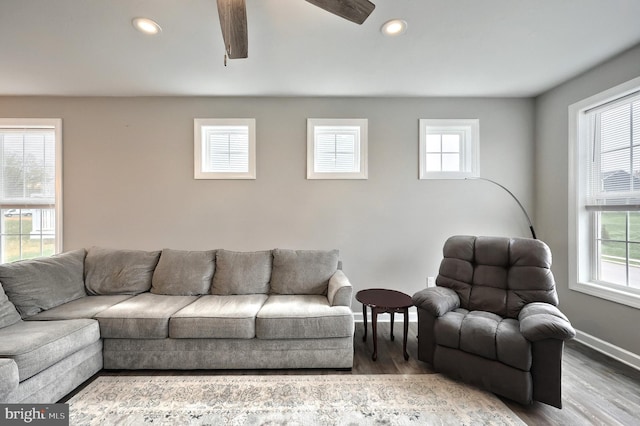 living room with a wealth of natural light, wood finished floors, and ceiling fan