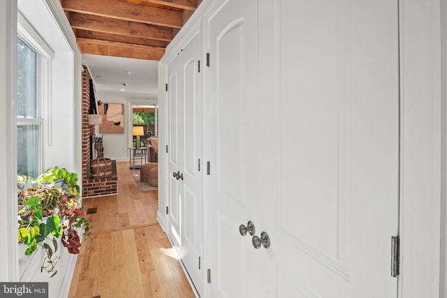 hallway with light wood-style flooring