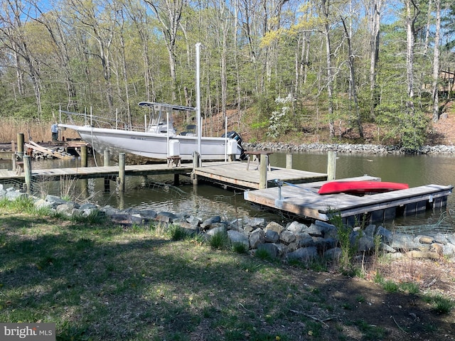 dock area featuring a water view
