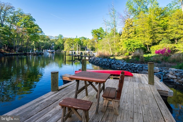 dock area with a water view