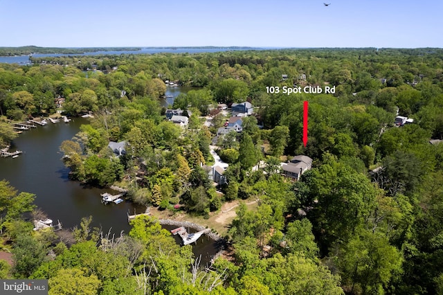 birds eye view of property with a water view and a forest view