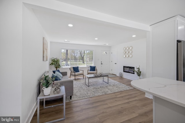 2475 W Denneys Rd, Dover, DE 19904 - living area with recessed lighting, a glass covered fireplace, light wood-type flooring, and baseboards