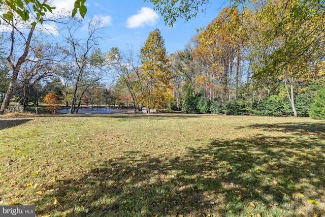 view of yard with a water view