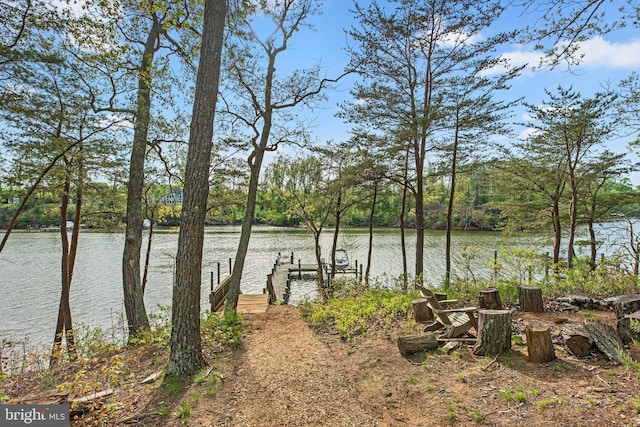 840 Childs Point Rd, Annapolis, MD 21401 - water view featuring a dock
