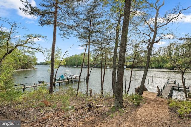 840 Childs Point Rd, Annapolis, MD 21401 - dock area with boat lift and a water view