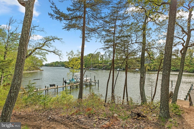 840 Childs Point Rd, Annapolis, MD 21401 - property view of water featuring boat lift and a dock