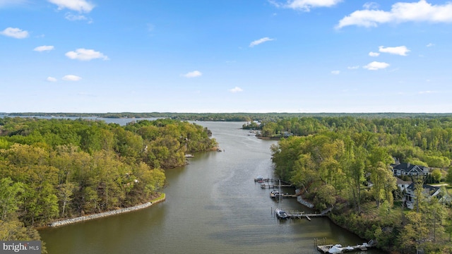 840 Childs Point Rd, Annapolis, MD 21401 - drone / aerial view featuring a view of trees and a water view