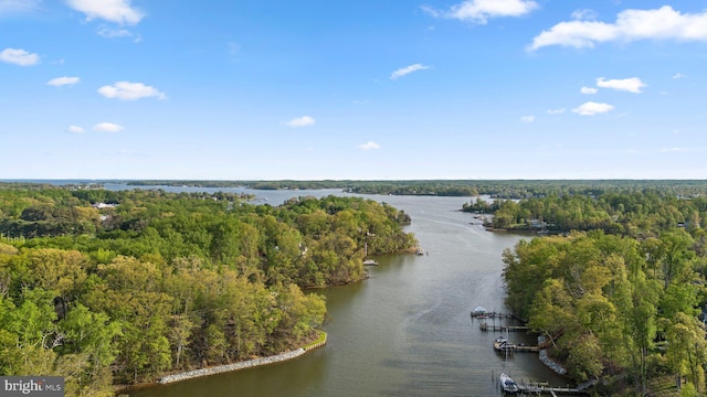840 Childs Point Rd, Annapolis, MD 21401 - bird's eye view with a water view and a view of trees