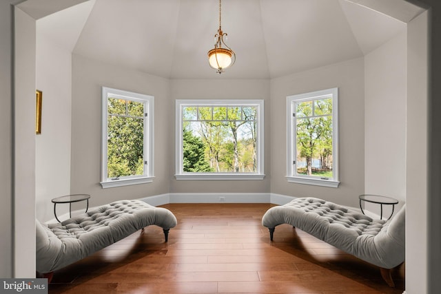 840 Childs Point Rd, Annapolis, MD 21401 - living area featuring baseboards, wood-type flooring, and vaulted ceiling