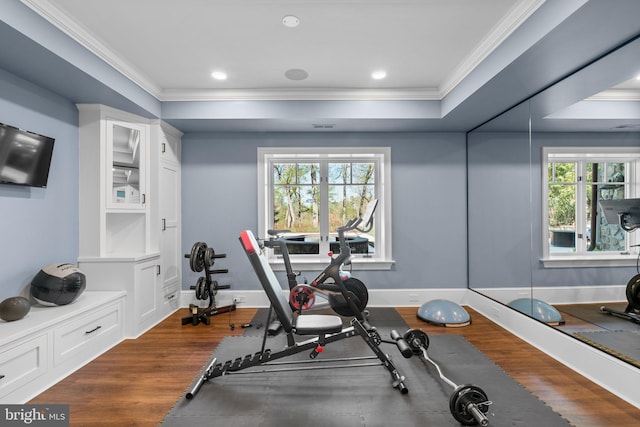 840 Childs Point Rd, Annapolis, MD 21401 - exercise area with crown molding, recessed lighting, plenty of natural light, and dark wood-style floors