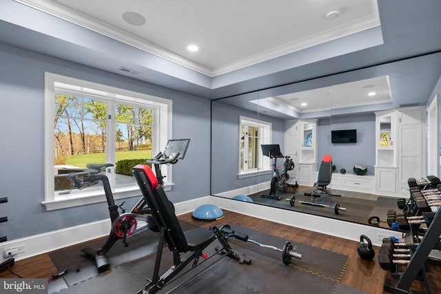 840 Childs Point Rd, Annapolis, MD 21401 - exercise room featuring visible vents, wood finished floors, ornamental molding, a tray ceiling, and recessed lighting