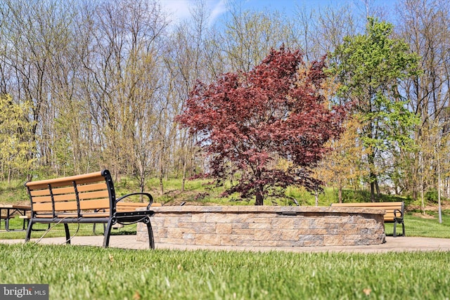 view of property's community with a yard