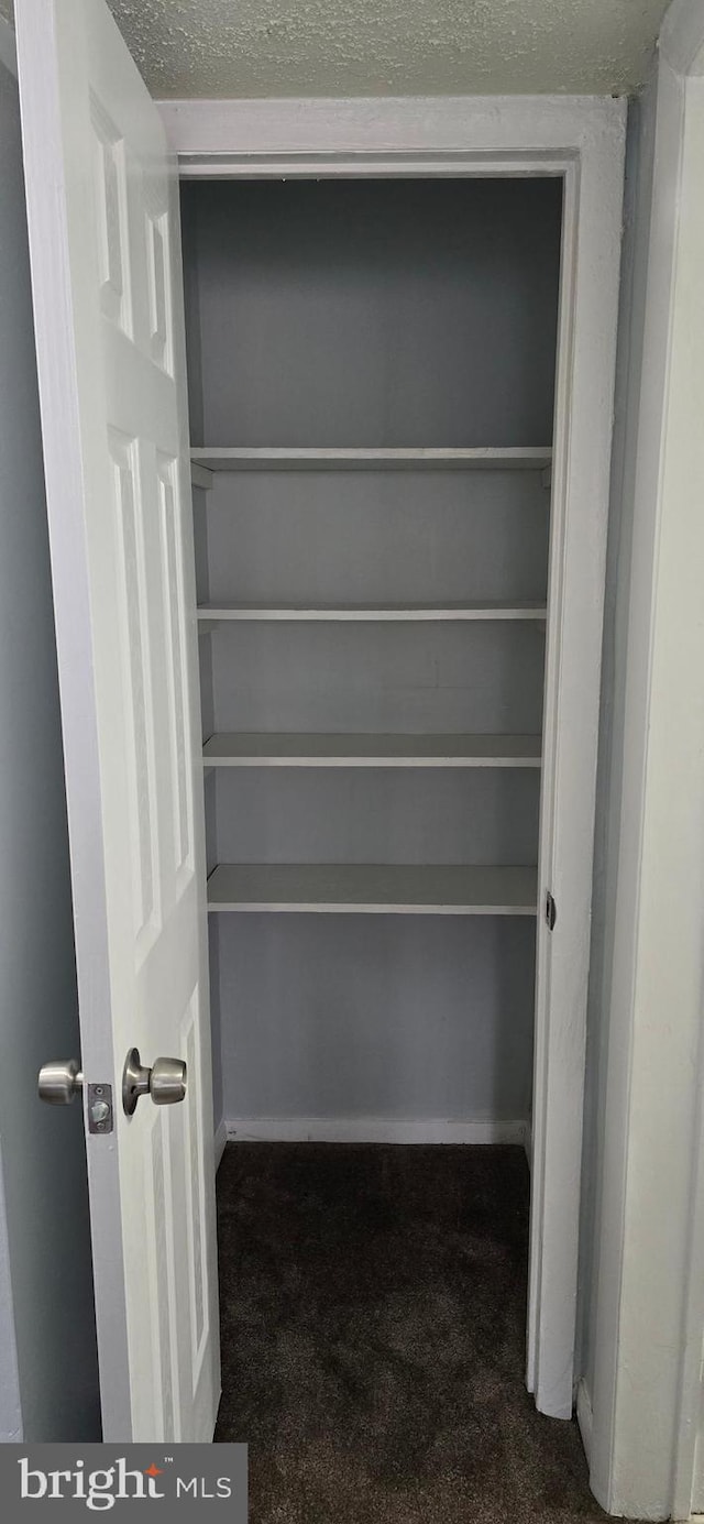 3811 Swann Rd Unit T-1, Suitland, MD 20746 - view of closet