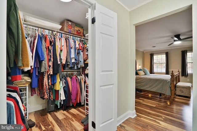 view of closet