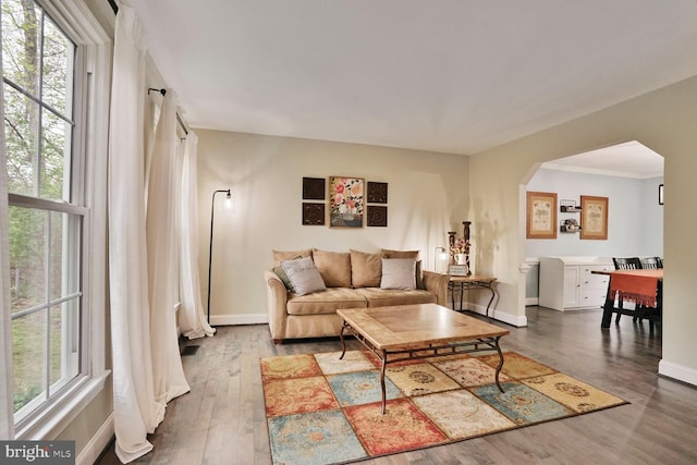 living room featuring arched walkways, dark wood-type flooring, and baseboards
