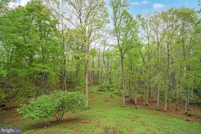 view of yard with a forest view