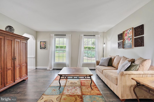 living area featuring baseboards and dark wood-type flooring