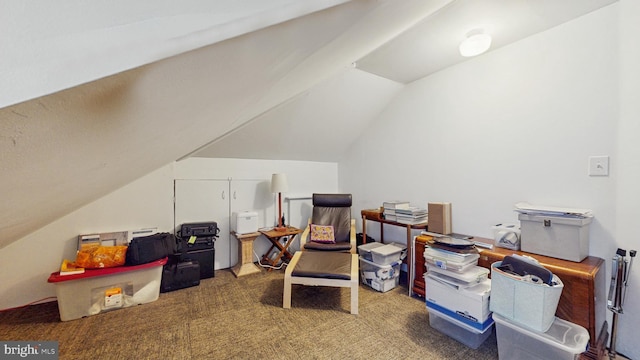 bonus room with lofted ceiling and carpet flooring