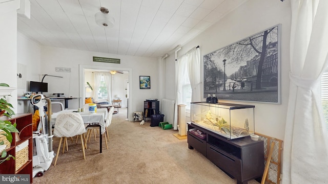 carpeted office with ornamental molding and a ceiling fan