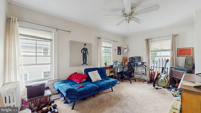 carpeted home office featuring a ceiling fan, ornamental molding, and radiator