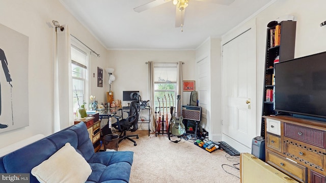 office featuring carpet, ceiling fan, and crown molding