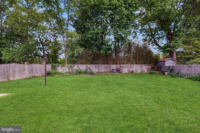 view of yard