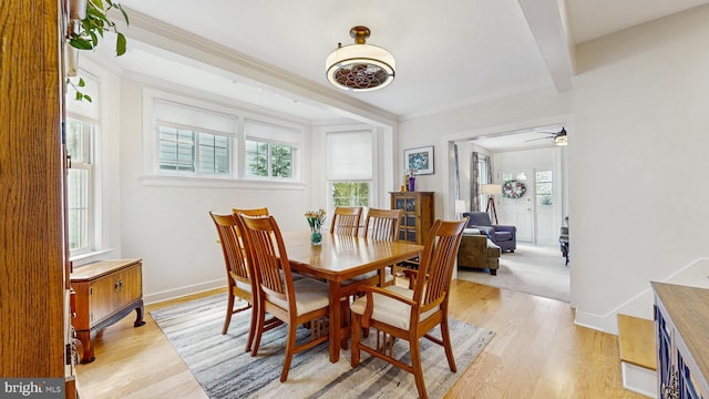 dining space featuring light wood-type flooring, ceiling fan, crown molding, and baseboards