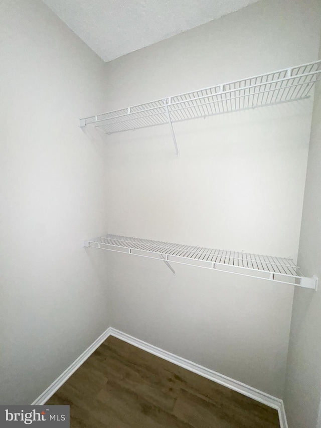 walk in closet with dark wood finished floors